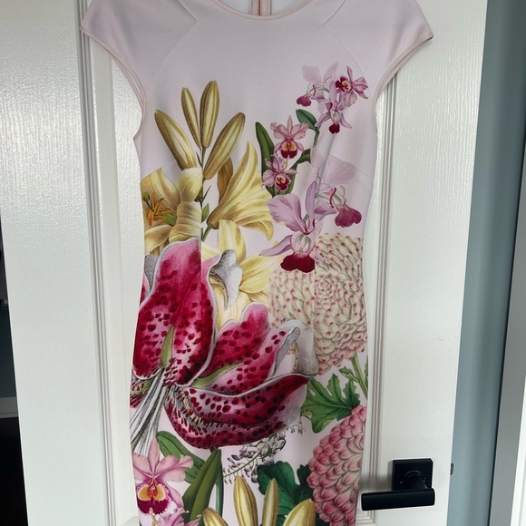 Ted Baker Dresses & Skirts - Ted Baker Pink Floral Midi Dress